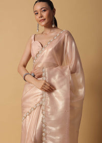 Beige Toned Tissue Saree With Cut Dana Embroidered Borders