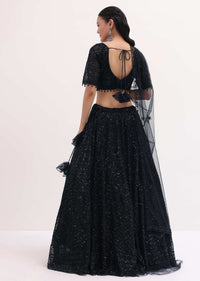 Black Lehenga With Embroidered Choli And Dupatta