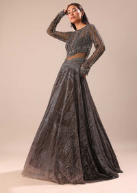Black Ombre Embroidered Net Gown