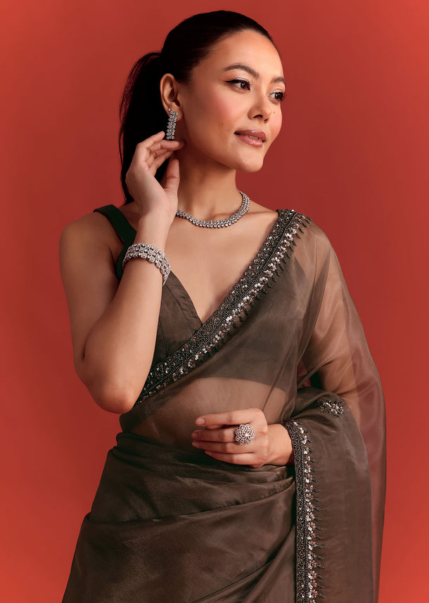 Brown Tissue Saree With Cutdana And Sequin Work