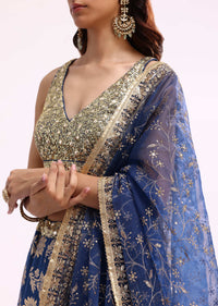 Blue Embroidered Net Lehenga Choli Set