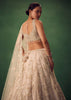 Blush Pink 3D Floral And Bead Work Lehenga Set