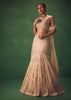 Blush Pink Fish Cut Sequin Lehenga Set