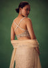 Blush Pink Fish Cut Sequin Lehenga Set