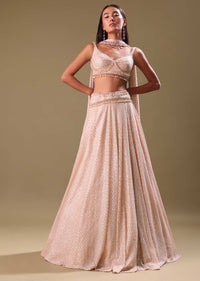 Blush Pink Shimmer Skirt With Blouse And Cape