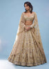 Bridal Khwabeeda Beige White Foil Organza Lehenga With 3D Embroidery - NOOR 2022