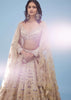 Bridal Khwabeeda Beige White Foil Organza Lehenga With 3D Embroidery - NOOR 2022