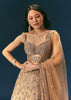 Bronze Organza Lehenga Set With Hand Work