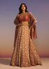 Brown Embroidered Blouse With Double Circular Lehenga And Tasseled Dupatta