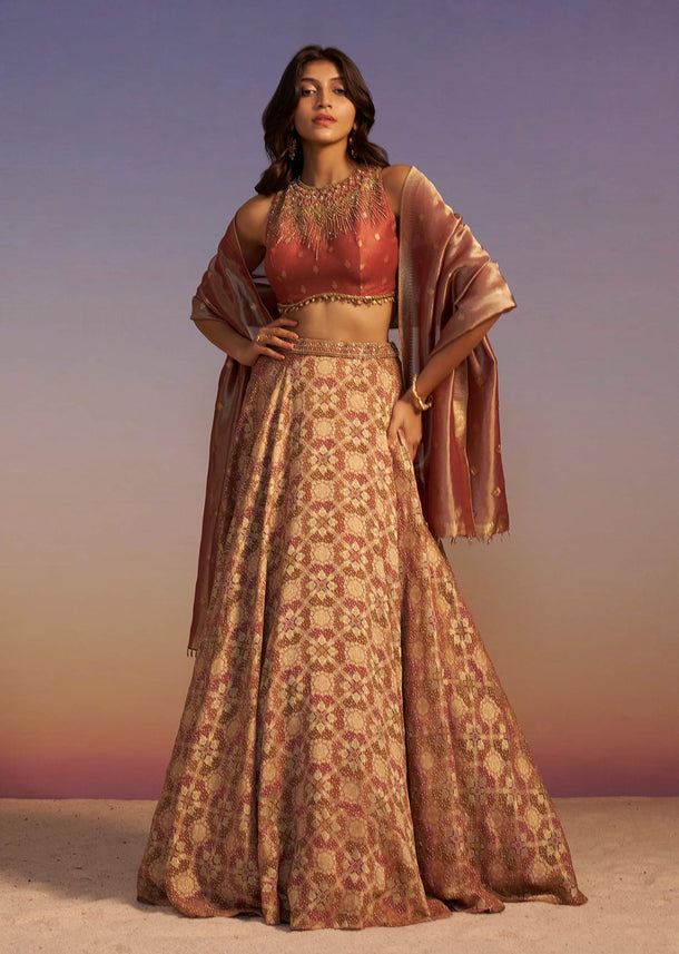 Brown Embroidered Blouse With Double Circular Lehenga And Tasseled Dupatta