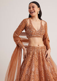 Brown Embellished Lehenga Set With Detailed Embroidery