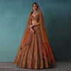 Brown Raw Silk Bridal Lehenga Set With Hand Embroidery