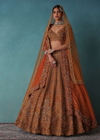 Brown Raw Silk Bridal Lehenga Set With Hand Embroidery