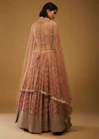 Rust Orange Lehenga Choli With Brocade Weave And Mirror Embroidery