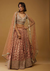 Rust Orange Lehenga Choli With Brocade Weave And Mirror Embroidery
