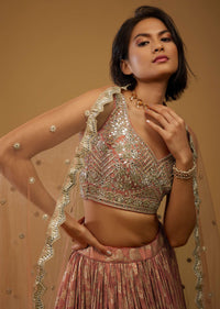 Rust Orange Lehenga Choli With Brocade Weave And Mirror Embroidery