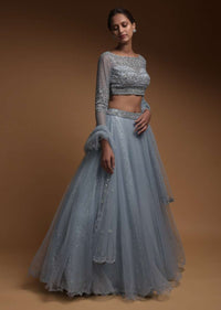 Carolina Blue Skirt In Net And Hand Embellished Crop Top With Sequins And Beads Work Online - Kalki Fashion