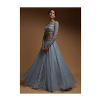 Carolina Blue Skirt In Net And Hand Embellished Crop Top With Sequins And Beads Work Online - Kalki Fashion