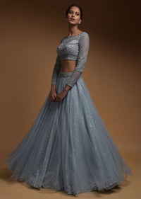 Carolina Blue Skirt In Net And Hand Embellished Crop Top With Sequins And Beads Work Online - Kalki Fashion