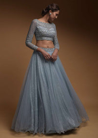 Carolina Blue Skirt In Net And Hand Embellished Crop Top With Sequins And Beads Work Online - Kalki Fashion
