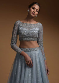 Carolina Blue Skirt In Net And Hand Embellished Crop Top With Sequins And Beads Work Online - Kalki Fashion