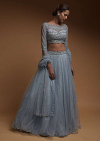 Carolina Blue Skirt In Net And Hand Embellished Crop Top With Sequins And Beads Work Online - Kalki Fashion