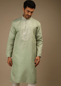 Celadon Green Kurta Set In Silk With Resham And Mirror Abla Embroidered Yoke Design