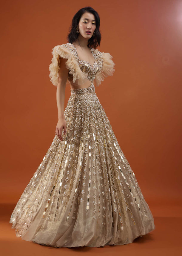 Champagne Gold Angelic Net Gown With Mirror Work And Ruffle Sleeves - NOOR 2022