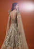 Champagne Gold Divine Net Fabricated Gown With Ruffle Frill Adornment - NOOR 2022