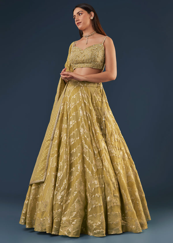 Citrus Green Banarasi Lehenga Set With Sequin And Lace Detailing
