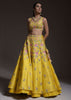 Citrus Lehenga Choli In Raw Silk With Resham Embroidered Spring Blooms And Gradating Floral Buttis