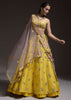 Citrus Lehenga Choli In Raw Silk With Resham Embroidered Spring Blooms And Gradating Floral Buttis