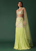 Citrus Green Embroidered Blouse And Skirt Set With Choker Dupatta