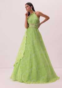 Citrus Green Printed Gown In Georgette With Hand-Embroidery And Back Trails