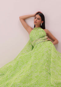 Citrus Green Printed Gown In Georgette With Hand-Embroidery And Back Trails