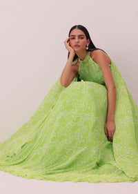 Citrus Green Printed Gown In Georgette With Hand-Embroidery And Back Trails