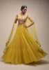 Citrus Lehenga And Crop Top With Resham Embroidered Spring Blossoms