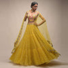 Citrus Lehenga And Crop Top With Resham Embroidered Spring Blossoms