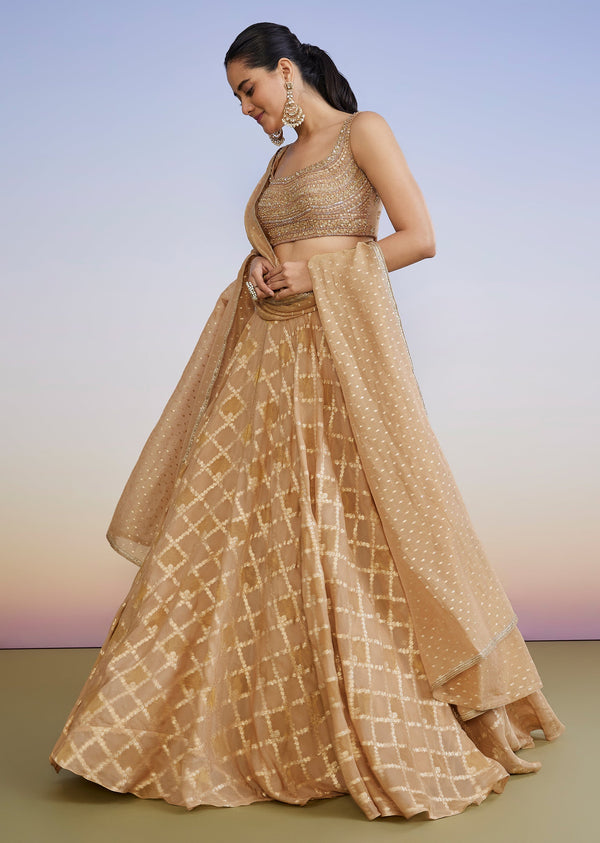 Classic Gold Organza Lehenga