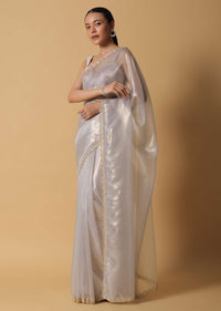 Cloud Grey Foil Saree In Tissue With Cut Dana Embroidered Borders