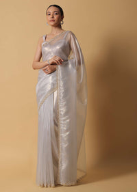 Cloud Grey Foil Saree In Tissue With Cut Dana Embroidered Borders