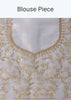 Cloud Grey Foil Saree In Tissue With Cut Dana Embroidered Borders