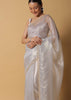 Cloud Grey Foil Saree In Tissue With Cut Dana Embroidered Borders