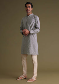 Cloud Grey Thread-Embroidered Festive Kurta Set In Silk With Motif Work