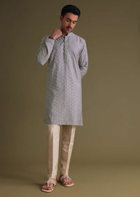 Cloud Grey Thread-Embroidered Festive Kurta Set In Silk With Motif Work