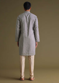 Cloud Grey Thread-Embroidered Festive Kurta Set In Silk With Motif Work