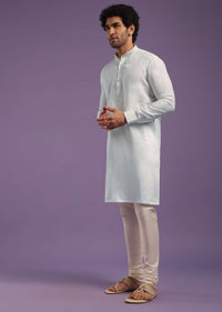 Daisy White Kurta In Linen With An Thread Embroiderd Yoke