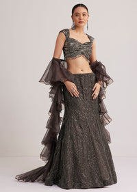 Dark Brown Sequins Mermaid Lehenga Set