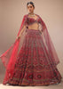 Dark Red Lehenga With A Crop Top In Royal Heritage Embroidery, Crop Top Comes In Scalloped Neckline