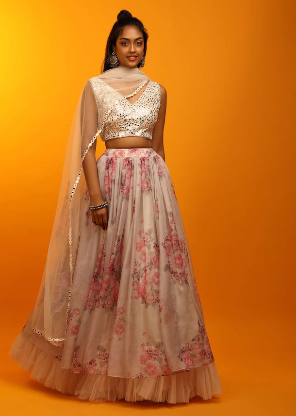 Dew Beige Lehenga In Sheer Organza With Floral Print And Mirror Abla Embroidered Sleeveless Choli